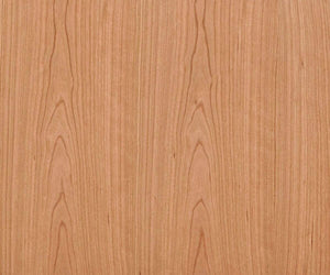 Baptisia 59" Media Stand